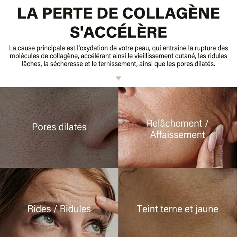 Crème pour le visage au collagène et à l'élastine Organique Anti-âge et anti-rides